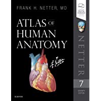 Atlas of Human Anatomy- 7e (Netter Basic Science)
